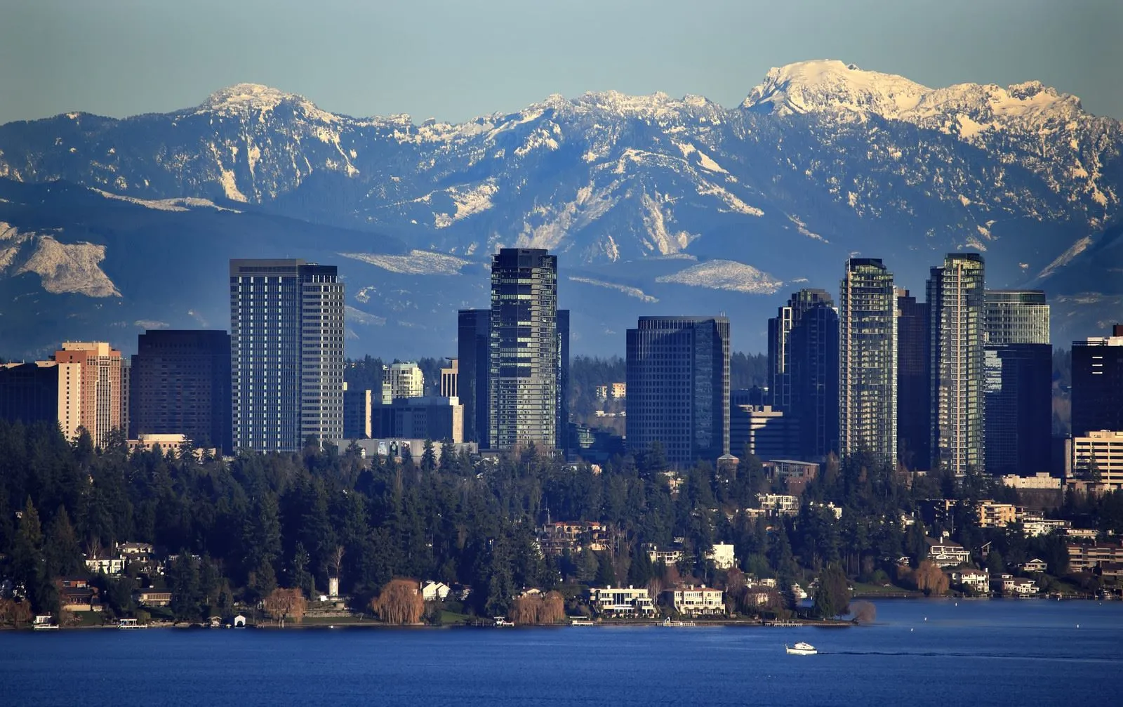 Making moves fast, simple, and stress-free for families and businesses across Bellevue, WA