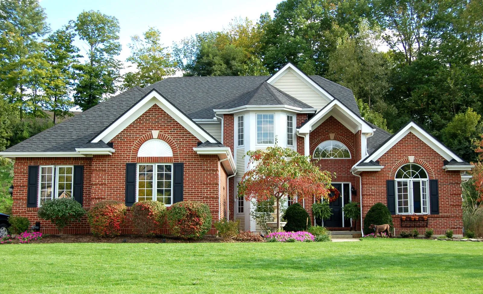Stress-free,fast, and simple moves for families and businesses in West Bellevue, WA