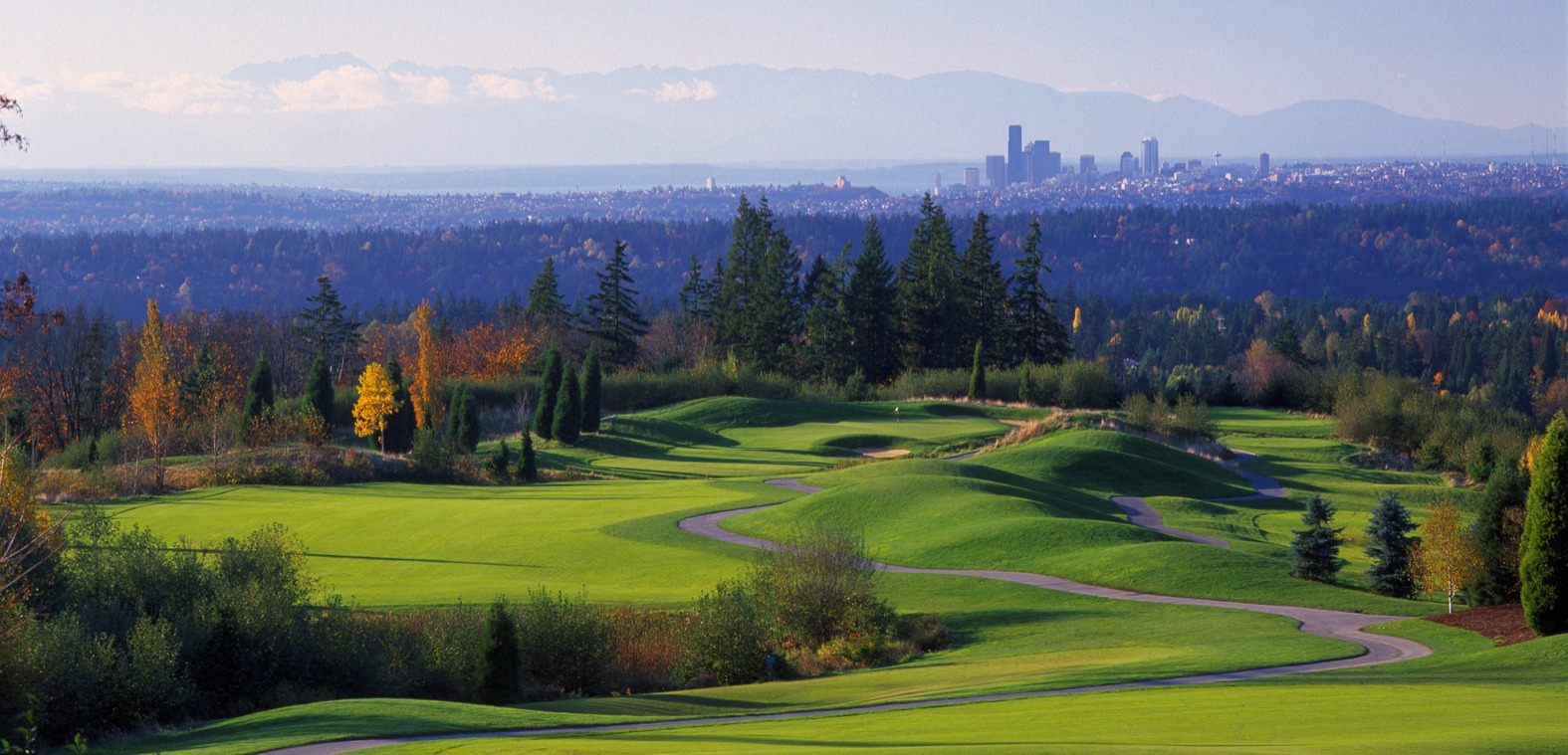 We make moving fast, stress-free, and simple for families and businesses in Newcastle, WA